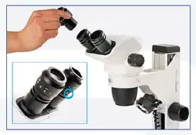 euromex NexiusZoom EVO Stereo Microscopes fig 3