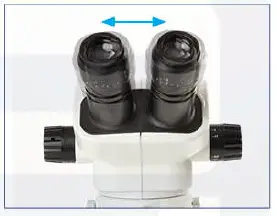 euromex NexiusZoom EVO Stereo Microscopes fig 4