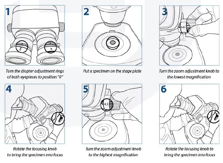 euromex NexiusZoom EVO Stereo Microscopes fig 6