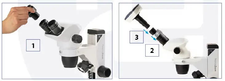 euromex NexiusZoom EVO Stereo Microscopes fig 9