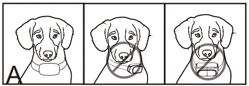 Enrivik EN-920 Remote Dog Training Collar - dog