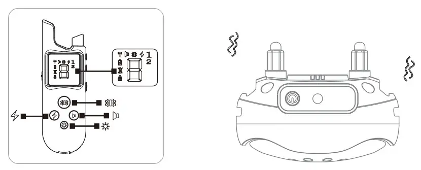 Enrivik EN-920 Remote Dog Training Collar - function 2