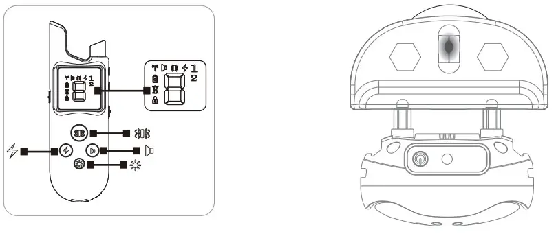 Enrivik EN-920 Remote Dog Training Collar - function