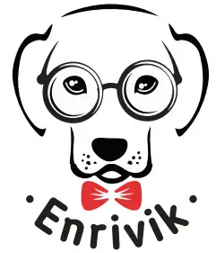Enrivik - logo