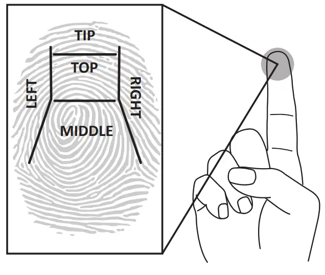 SPORTS AFIELD SA5925HX BIO 24 4 Gun Capacity Water and Fire Resistant Safe - fig11