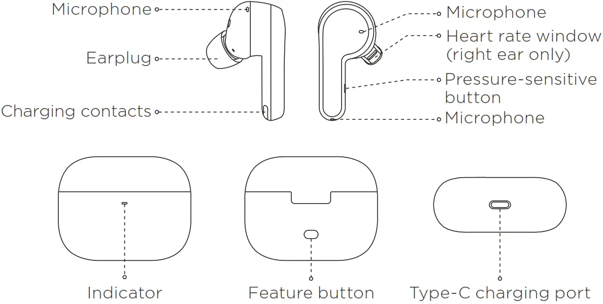 Amazfit PowerBuds Pro-----02 About the Earbuds