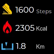 RADLEY 06 Series Smart Ladies Smartwatch 09