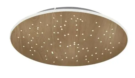 Paul-Neuhaus-8037-79-Q-NIGHTSKY-LED-Circular-Ceiling-Lamp-PRODUCT