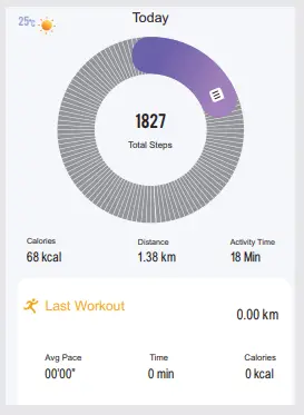 maxima Max Pro X4 Smart Watch - fig 10