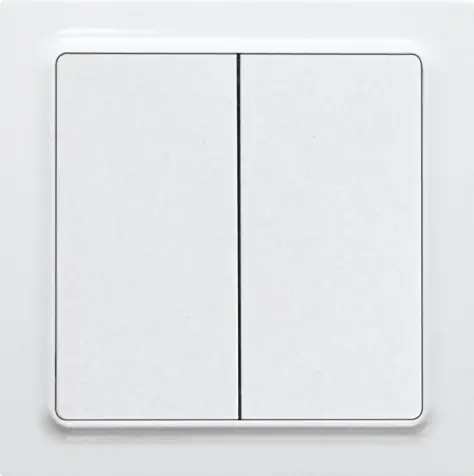 Eltako-W2T55E-Rocker-Pushbutton-PRODUCT