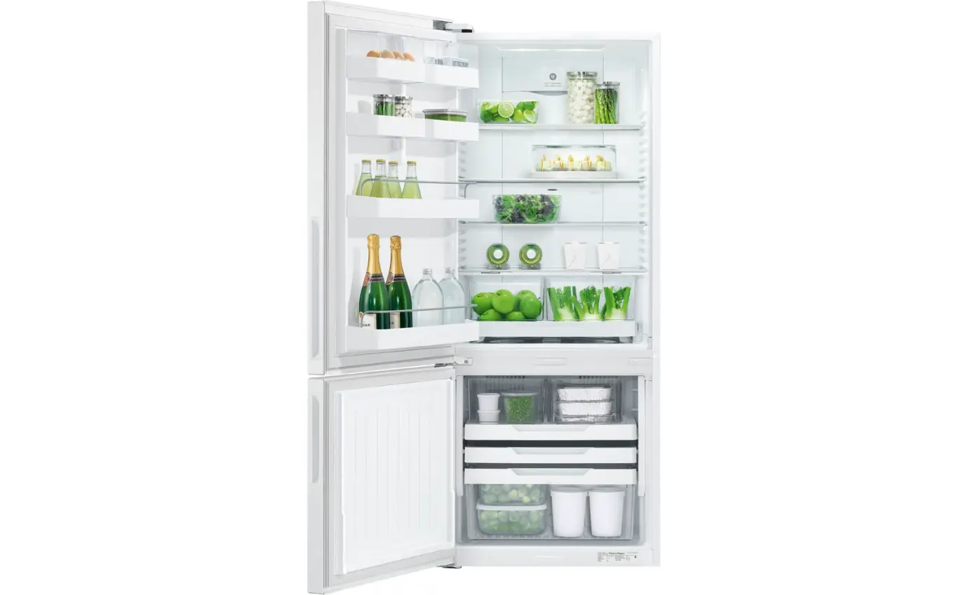 FISHER PAYKEL-RF442BLPW6-Freestanding-Refrigerator-Freezer-product-img3