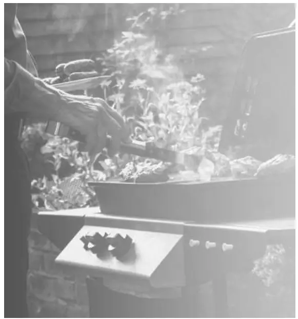 teesa TSA0150 BBQ 1000 Gas Barbecue Grill