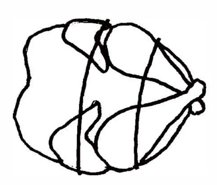 How to tie a chicken using 2 ties