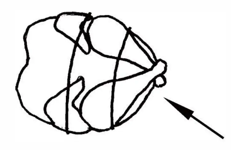 Great Rotisserie Chicken