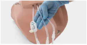 3B Scientific P102 Hemorrhage Control Arm Trainer - figure 5