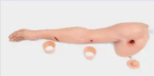 3B Scientific P102 Hemorrhage Control Arm Trainer - figure 6