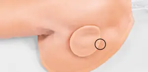 3B Scientific P102 Hemorrhage Control Arm Trainer - figure 8