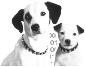 RCA DCM205 Digital Broadband Cable Modem - dog