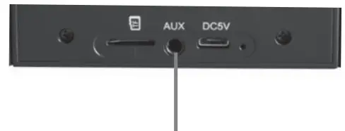 Protempo Us Dba Outdoor Tech THE TWIN PEAKS Wireless Speaker - Audio input