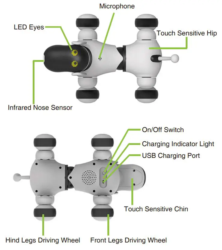 Odyssey Gizmo The smart puppy - Get to know Gizmo