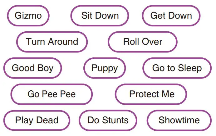 Odyssey Gizmo The smart puppy - Gizmo