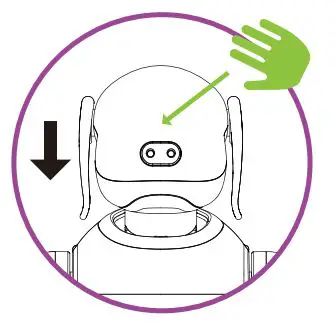 Odyssey Gizmo The smart puppy - Reset Operations