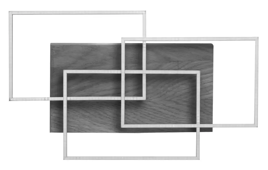 Paul Neuhaus 8330-79 LED Ceiling Light