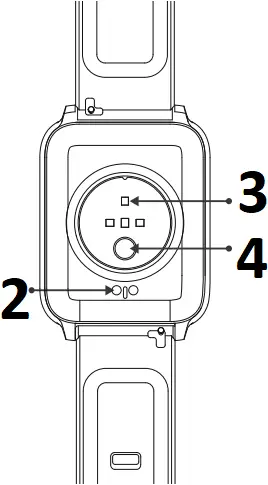 ZW66 - Description 2