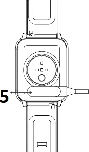 ZW66 - Description 3