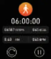 ZW66 - Function Description 16