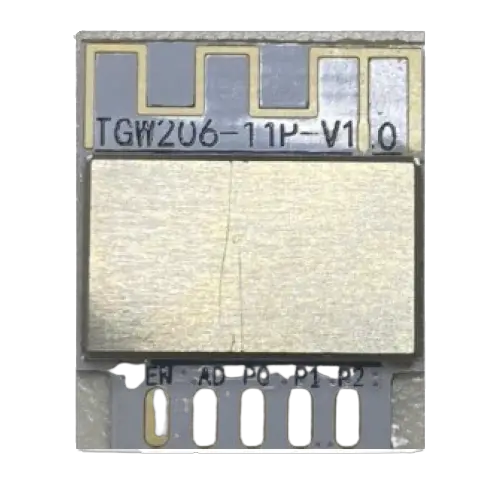 Iton Technology TGW206-11 Bluetooth LE 5.0 Module PRODUCT