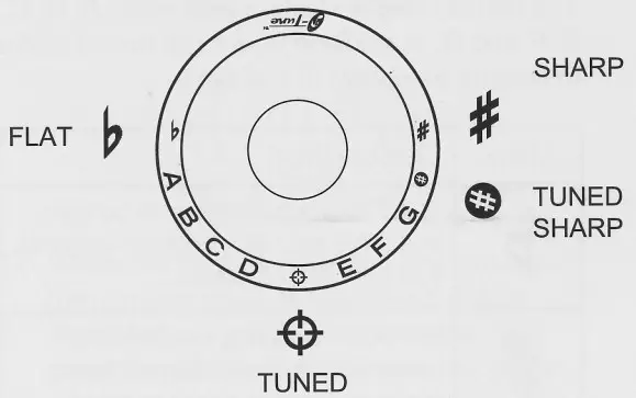 N Tune Onboard Chromatic Tuner - tuning