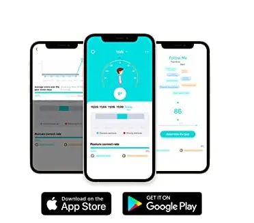 KONGTENBUY-Mini-Posture-Fig-1