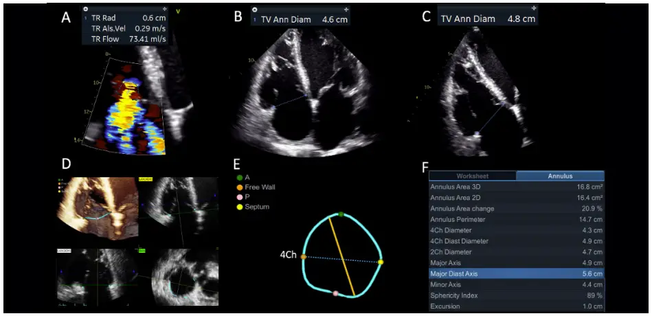Potential clinical applications