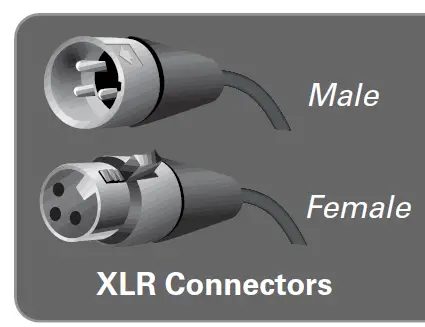 PARASOUND-A51-Halo-5-Channel-Power-Amplifier-02