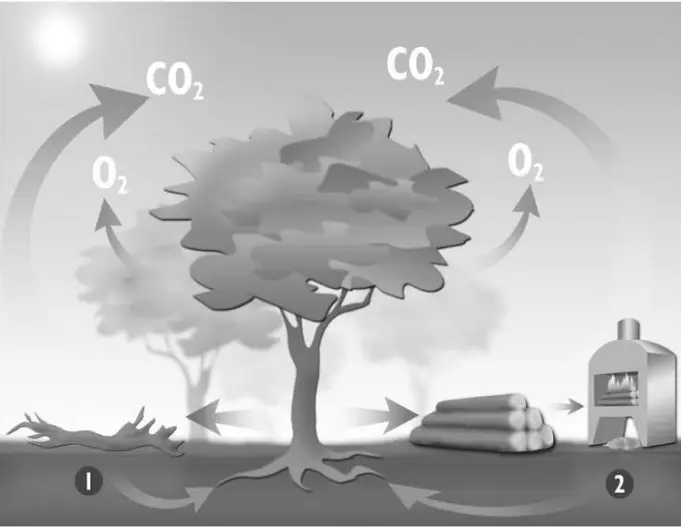 Environmental recycling