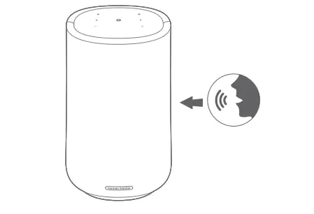 Talk to Google Assistant