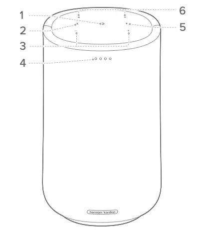 Top Panel and Front Side