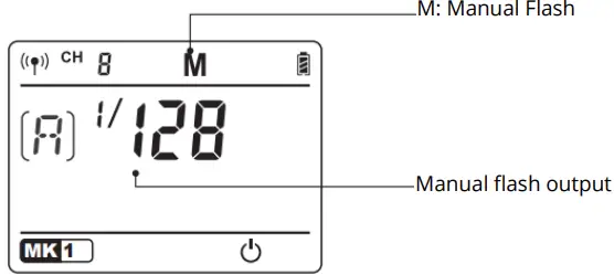 Godox AD200Pro Outdoor Flash-FIG8