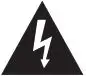 The lightning flash with arrowhead symbol