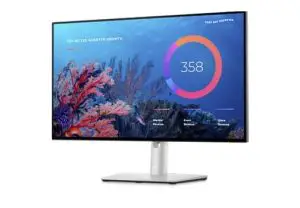 DELL U2422HE Monitor