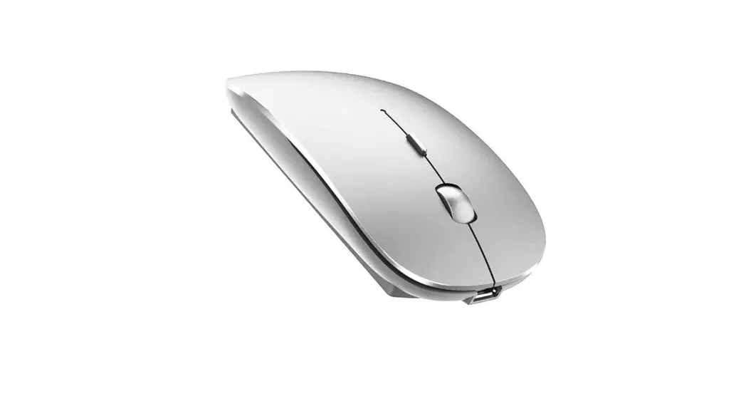 Shenzhen Loyal Electronics G1317e Wireless Mouse User Manual