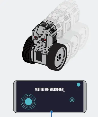 MAUNZI-WILLY-Dynamic-Wheeler-Kit-fig19