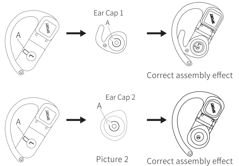 Ear wing Assembly
