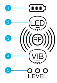 BEAUTIFLY-Pro-Series-Rejuvenation-Radio-Frequency-FIG-2