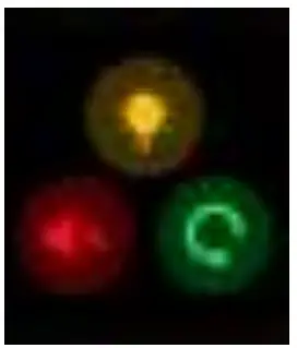 TECHMADE TM-STARK SN70 Stark Extreme Smartwatch - other