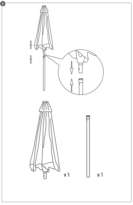 EKVIP 022725 Parasol 1