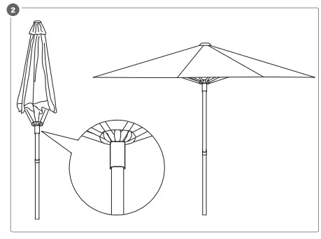 EKVIP 022725 Parasol 2