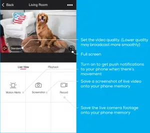 graphical user interface