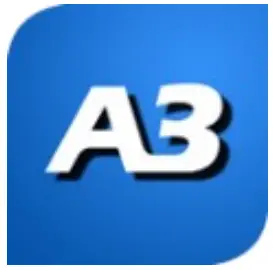 A3